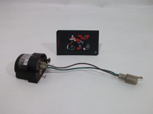 PILOTO DE MATRICULA KYMCO GRAND DINK 125 2002/07